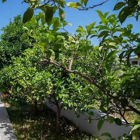 Amaya House Near The 度假居
